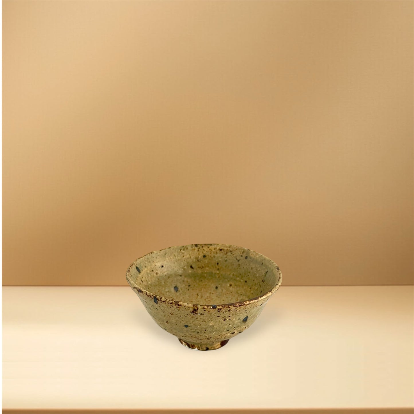 ceramicist Motoyuki Tonoike|Bowl / Rice-bowl / Meshiwan