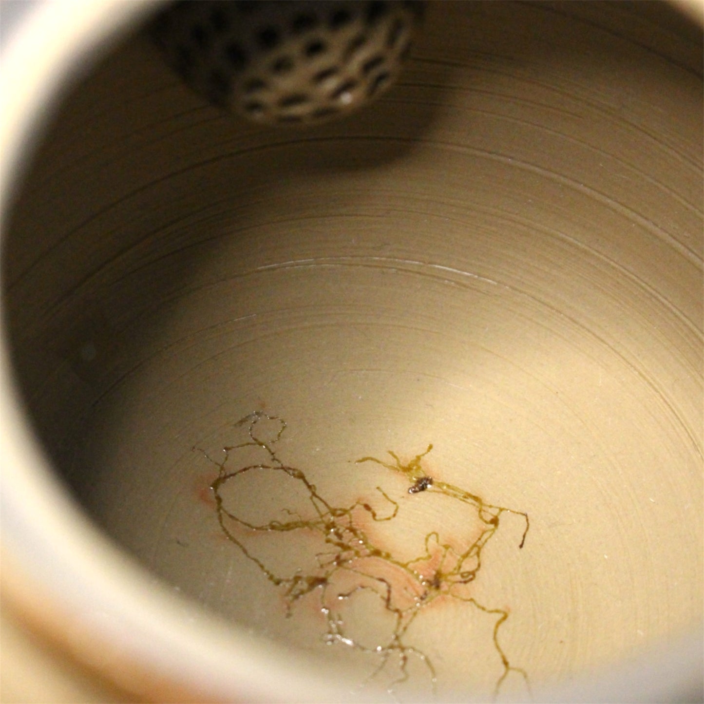 ceramicist Hakuzan Kyusu with Mogake decoration
