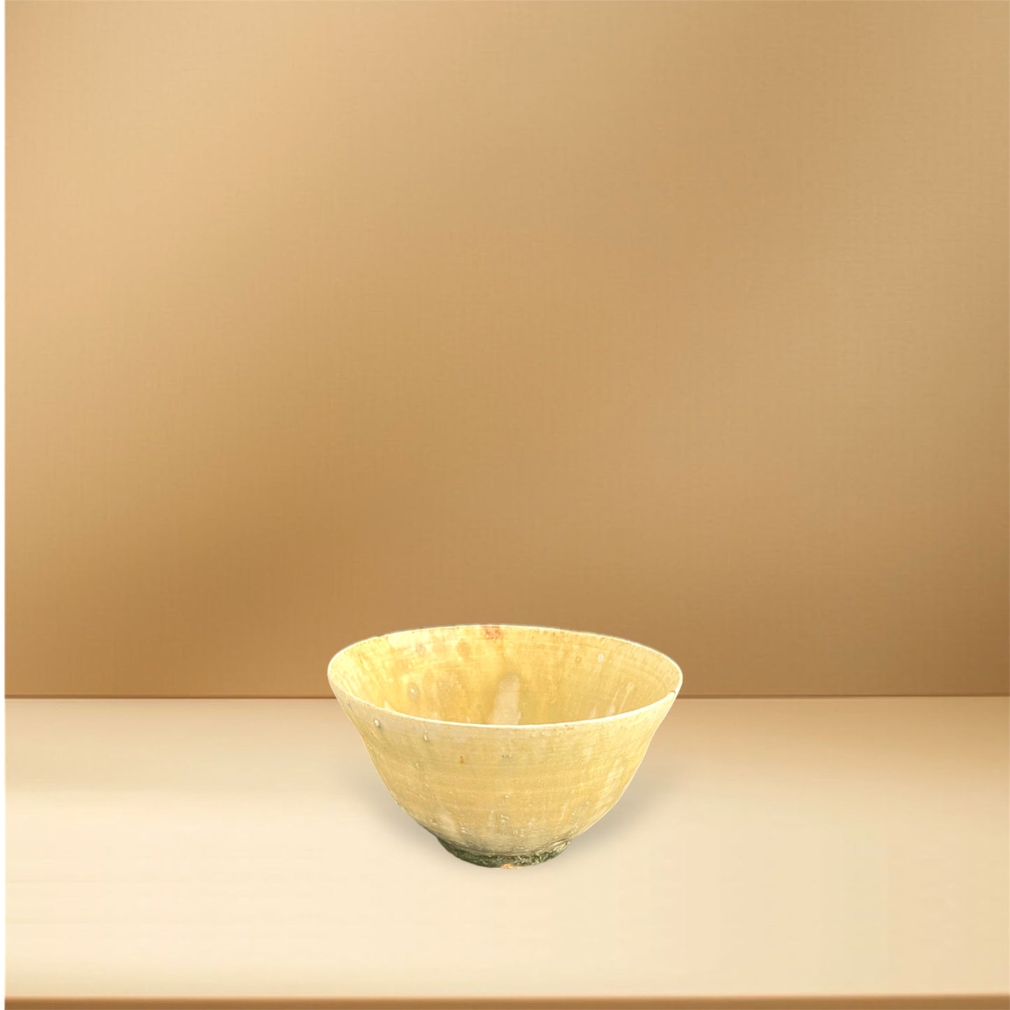 ceramicist Motoyuki Tonoike|Bowl / Rice-bowl / Meshiwan