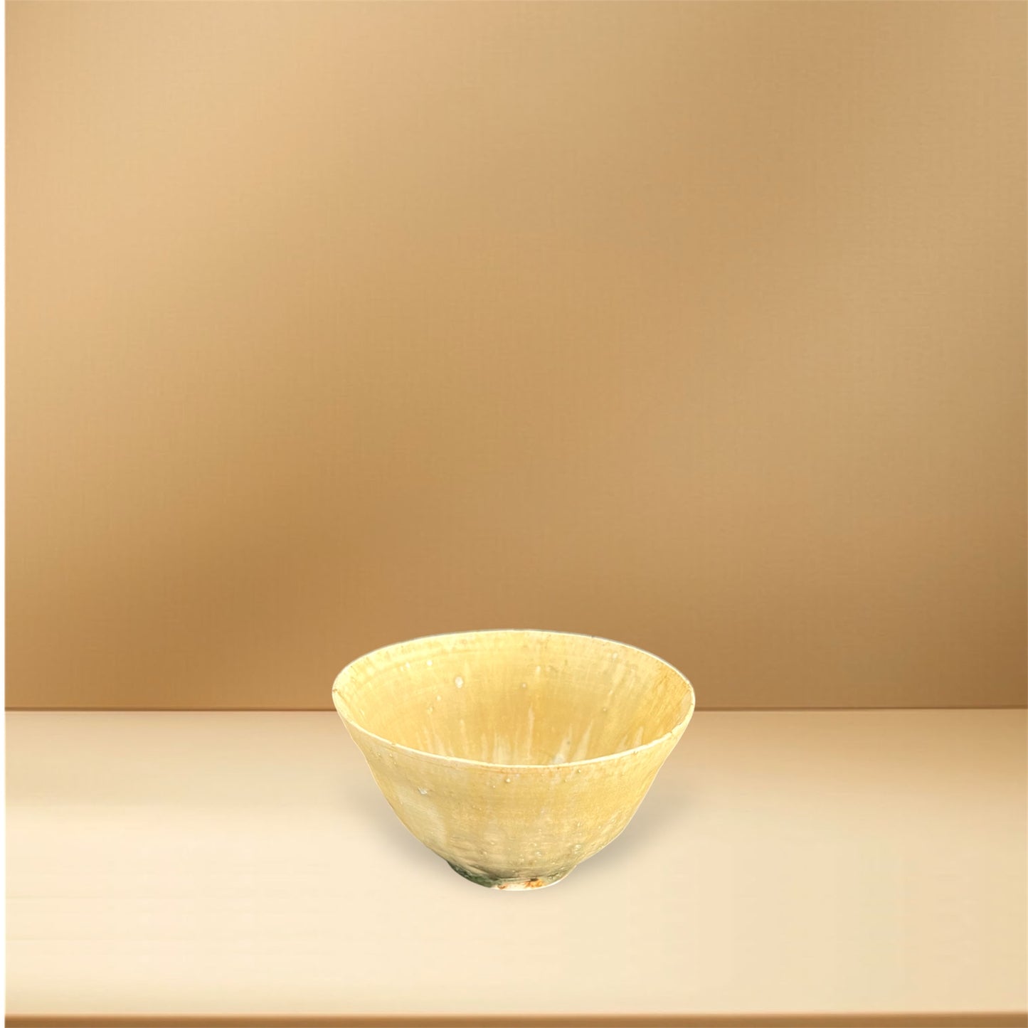 ceramicist Motoyuki Tonoike|Bowl / Rice-bowl / Meshiwan