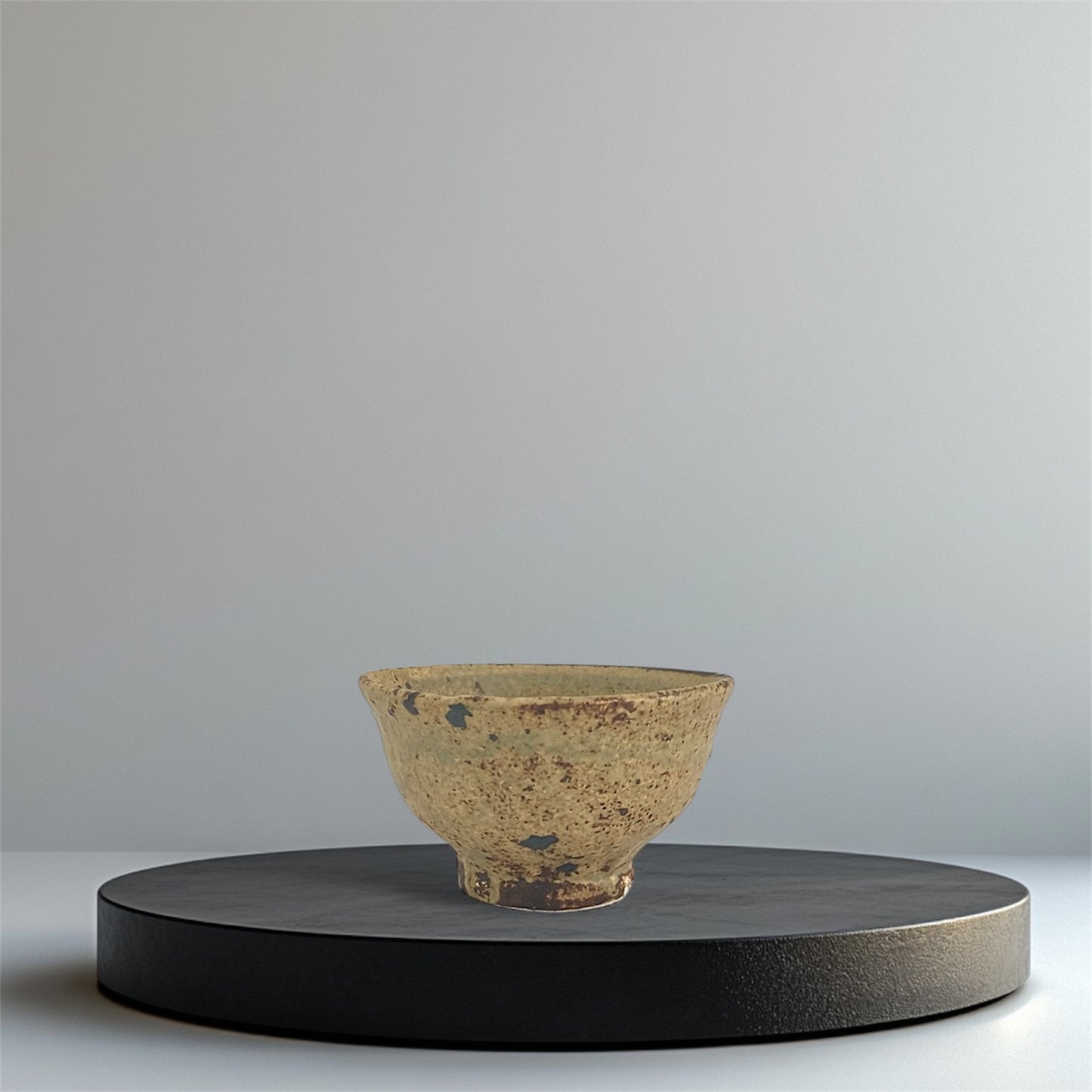 ceramicist Motoyuki Tonoike｜Bowl / Rice-bowl / Meshiwan