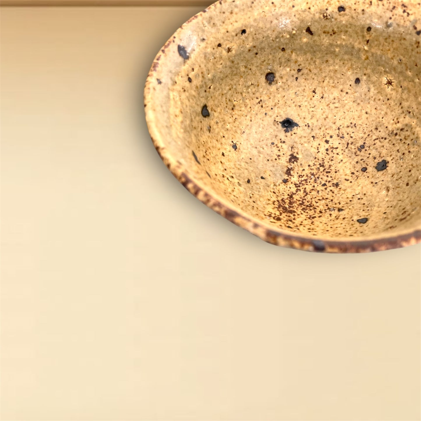 ceramicist Motoyuki Tonoike｜Bowl / Rice-bowl / Meshiwan