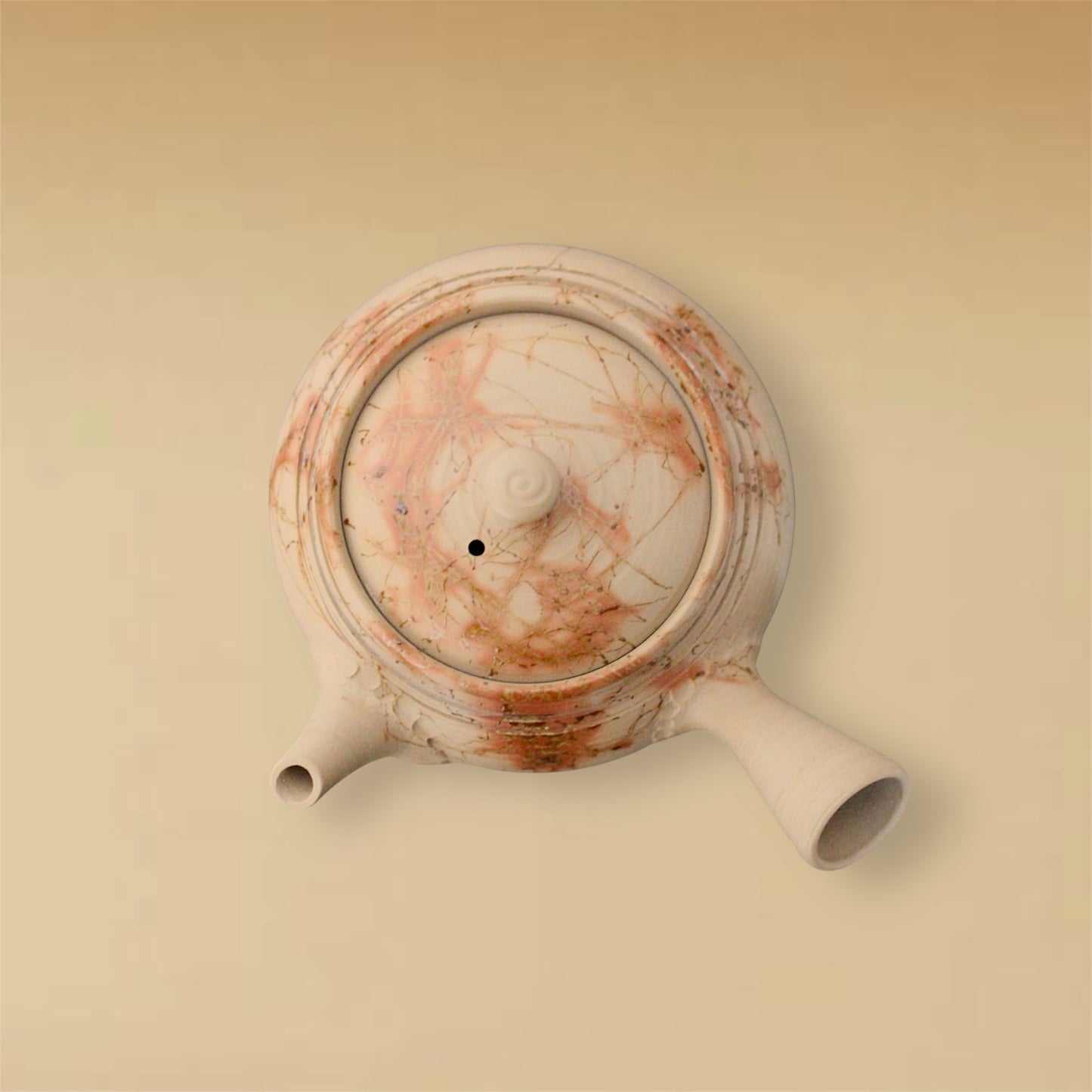 ceramicist Hakuzan Kyusu with Mogake decoration