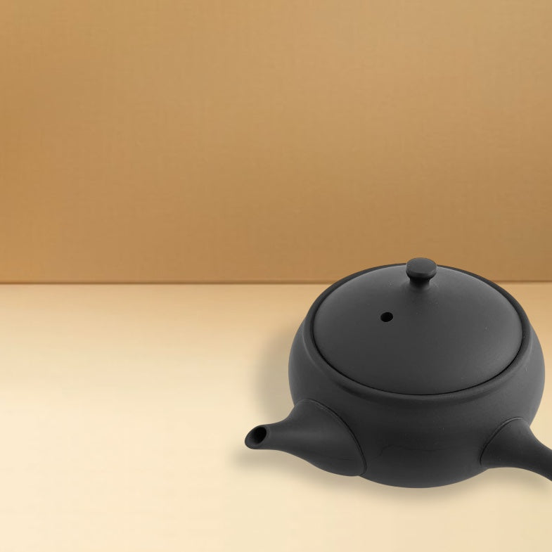 TOKI series｜Hira Kyusu / Teapot